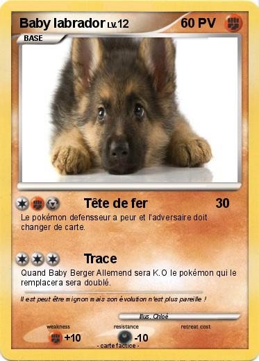 Pokemon Baby labrador