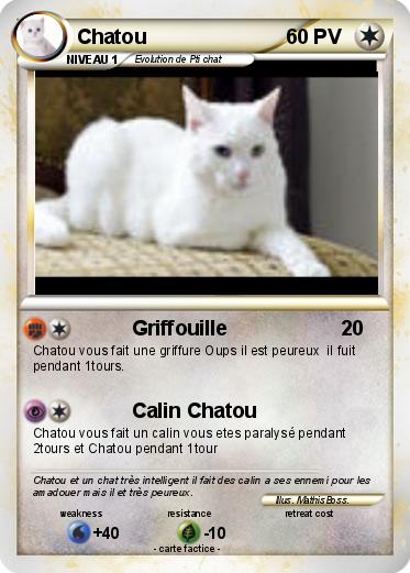 Pokemon Chatou