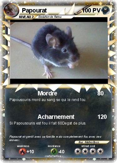 Pokemon Papourat
