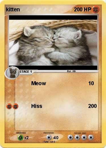 Pokemon kitten