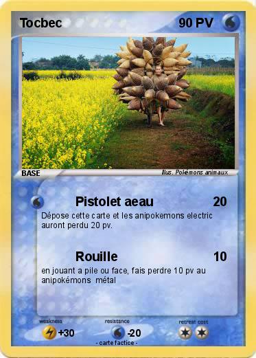 Pokemon Tocbec