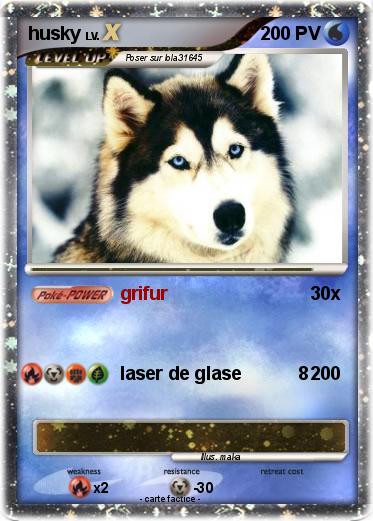 Pokemon husky