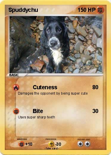 Pokemon Spuddychu