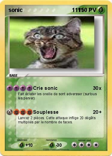 Pokemon sonic                                1111