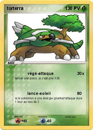 Pokemon torterra
