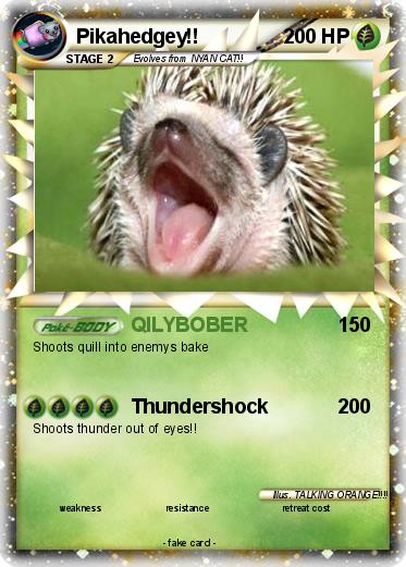 Pokemon Pikahedgey!!
