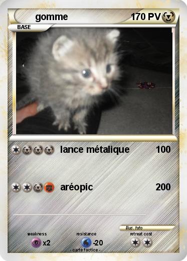 Pokemon gomme
