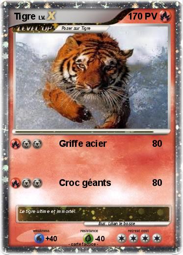 Pokemon Tigre