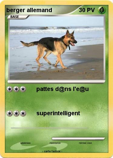 Pokemon berger allemand