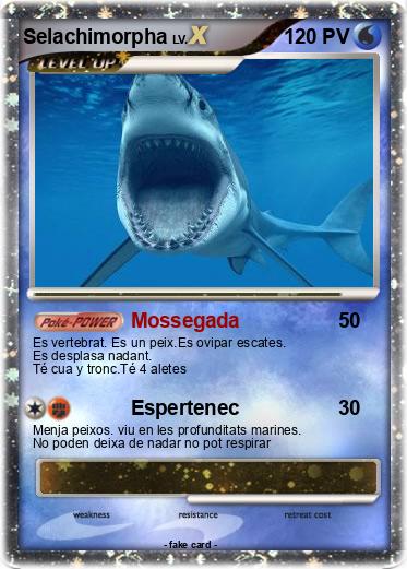 Pokemon Selachimorpha