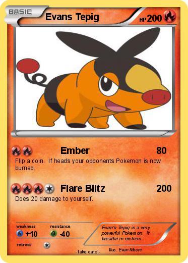 Pokemon Evans Tepig