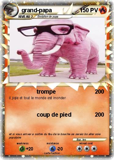Pokemon grand-papa