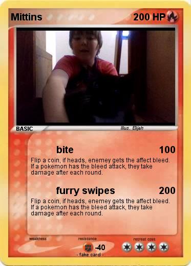 Pokemon Mittins