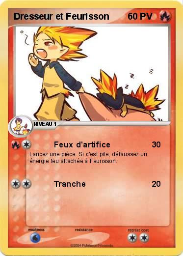 Pokemon Dresseur et Feurisson