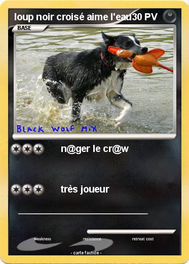 Pokemon loup noir croisé aime l'eau