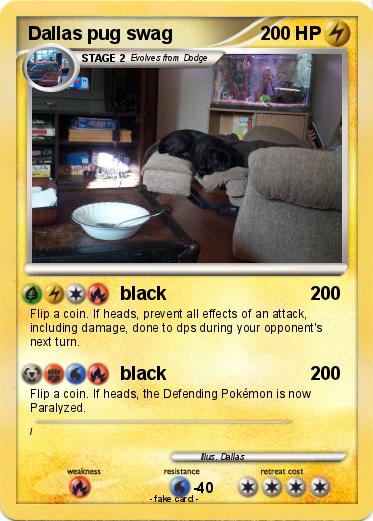 Pokemon Dallas pug swag