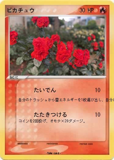 Pokemon ピカチュウ