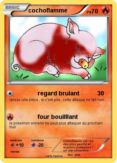 Pokemon cochoflamme