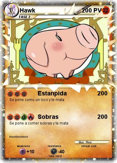 Pokemon Hawk