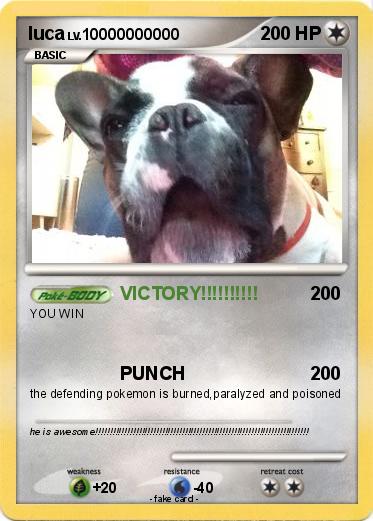 Pokemon luca