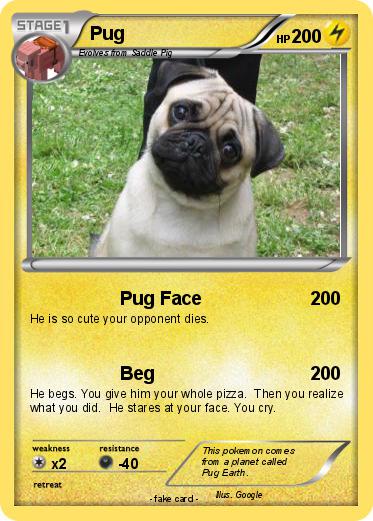 Pokemon Pug