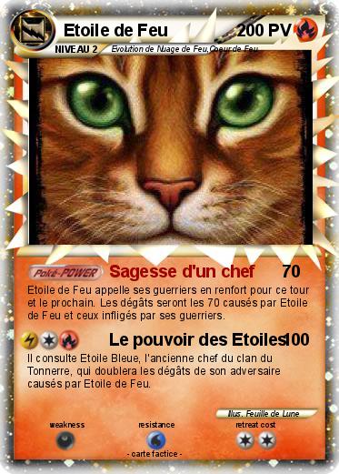 Pokemon Etoile de Feu