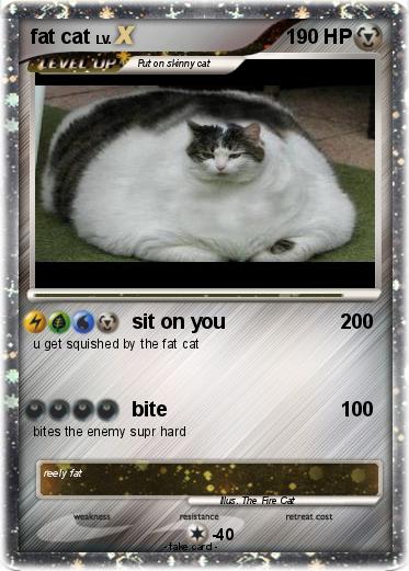 Pokemon fat cat