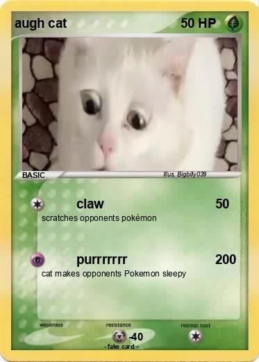 Pokemon augh cat