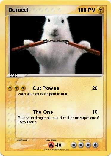 Pokemon Duracel