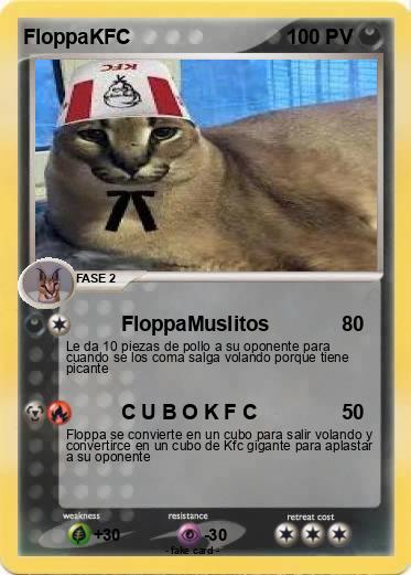 Pokemon FloppaKFC