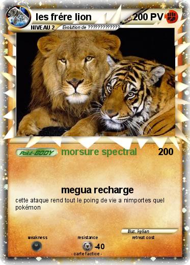 Pokemon les frére lion