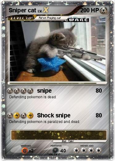 Pokemon Sniper cat