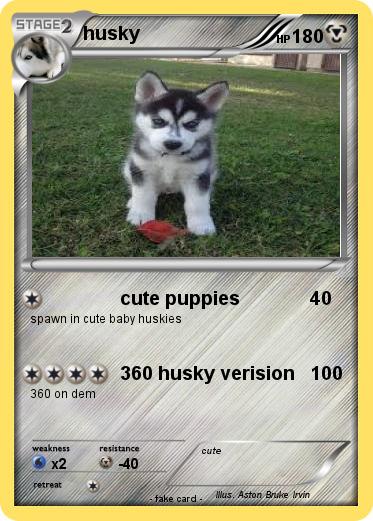 Pokemon husky
