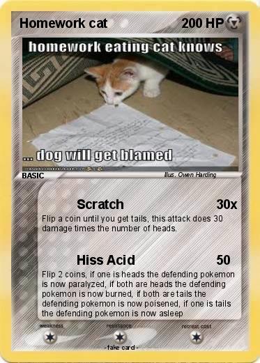 Pokemon Homework cat