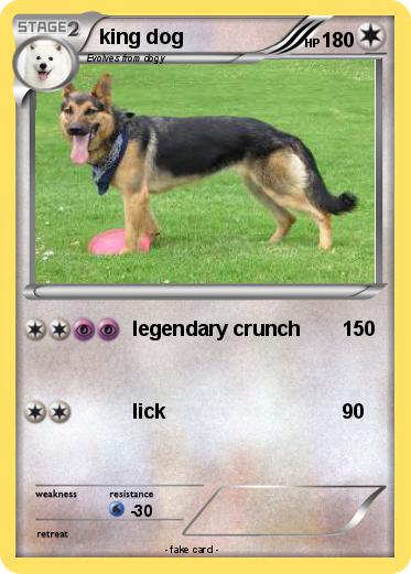 Pokemon king dog
