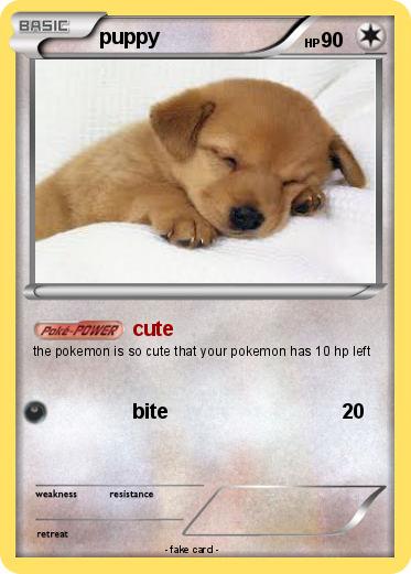 Pokemon puppy