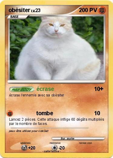 Pokemon obèsiter