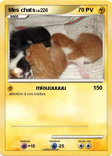 Pokemon Mes chats