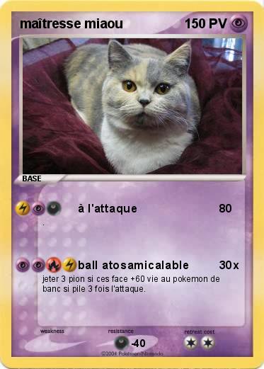 Pokemon maîtresse miaou
