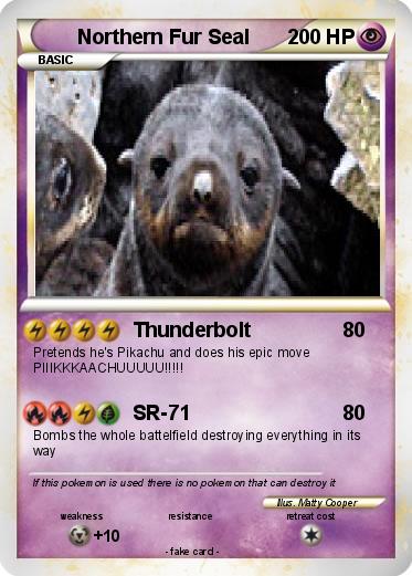 Pokemon Northern Fur Seal