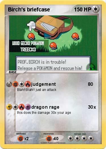 Pokemon Birch's briefcase