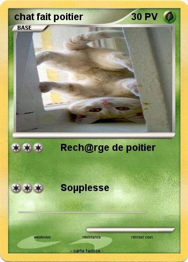 Pokemon chat fait poitier