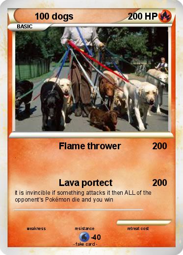 Pokemon 100 dogs