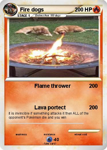 Pokemon Fire dogs