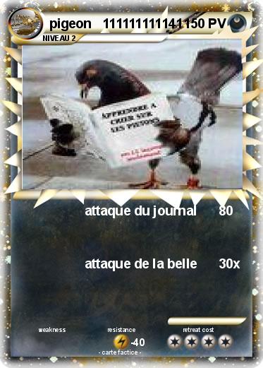 Pokemon pigeon   111111111141