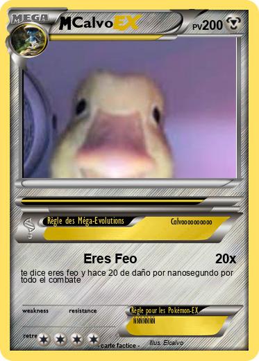Pokemon Calvo