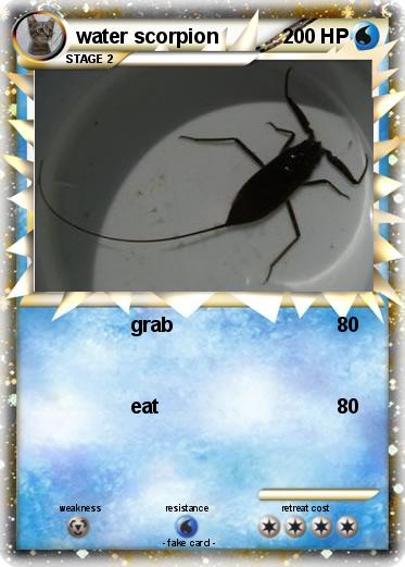 Pokemon water scorpion