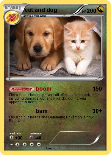 Pokemon cat and dog