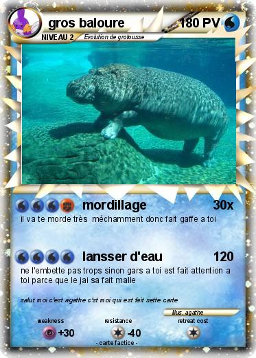 Pokemon gros baloure