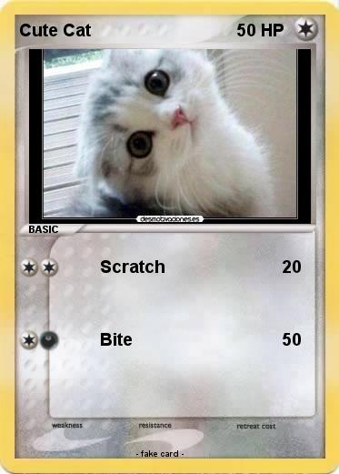 Pokemon Cute Cat